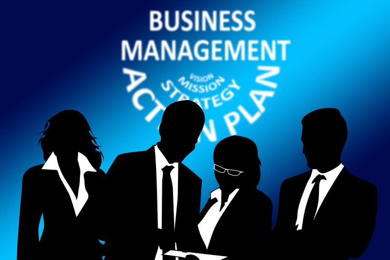 business management_Consulenza-strategica-aziendale_sitiwebaroma.it