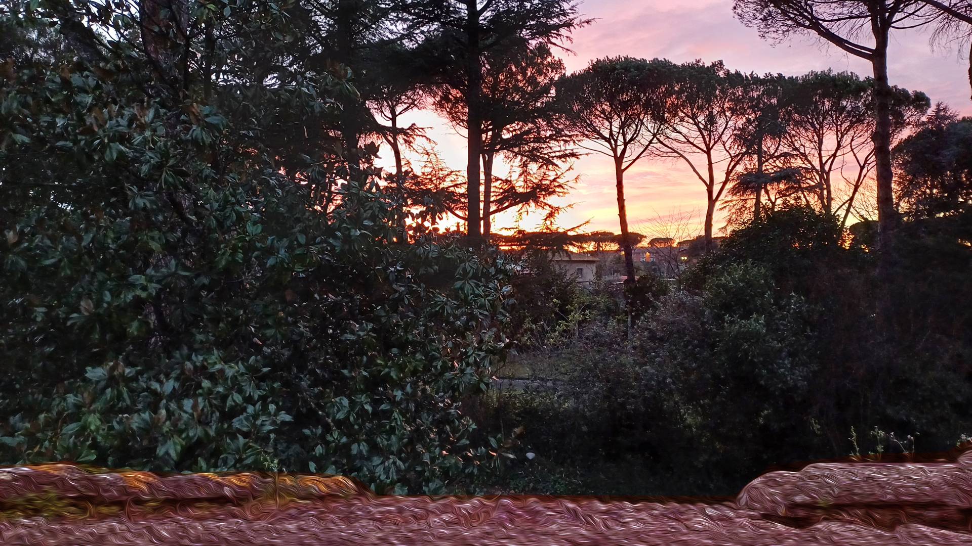 villa-Roma-Nord_sitiwebaroma.it