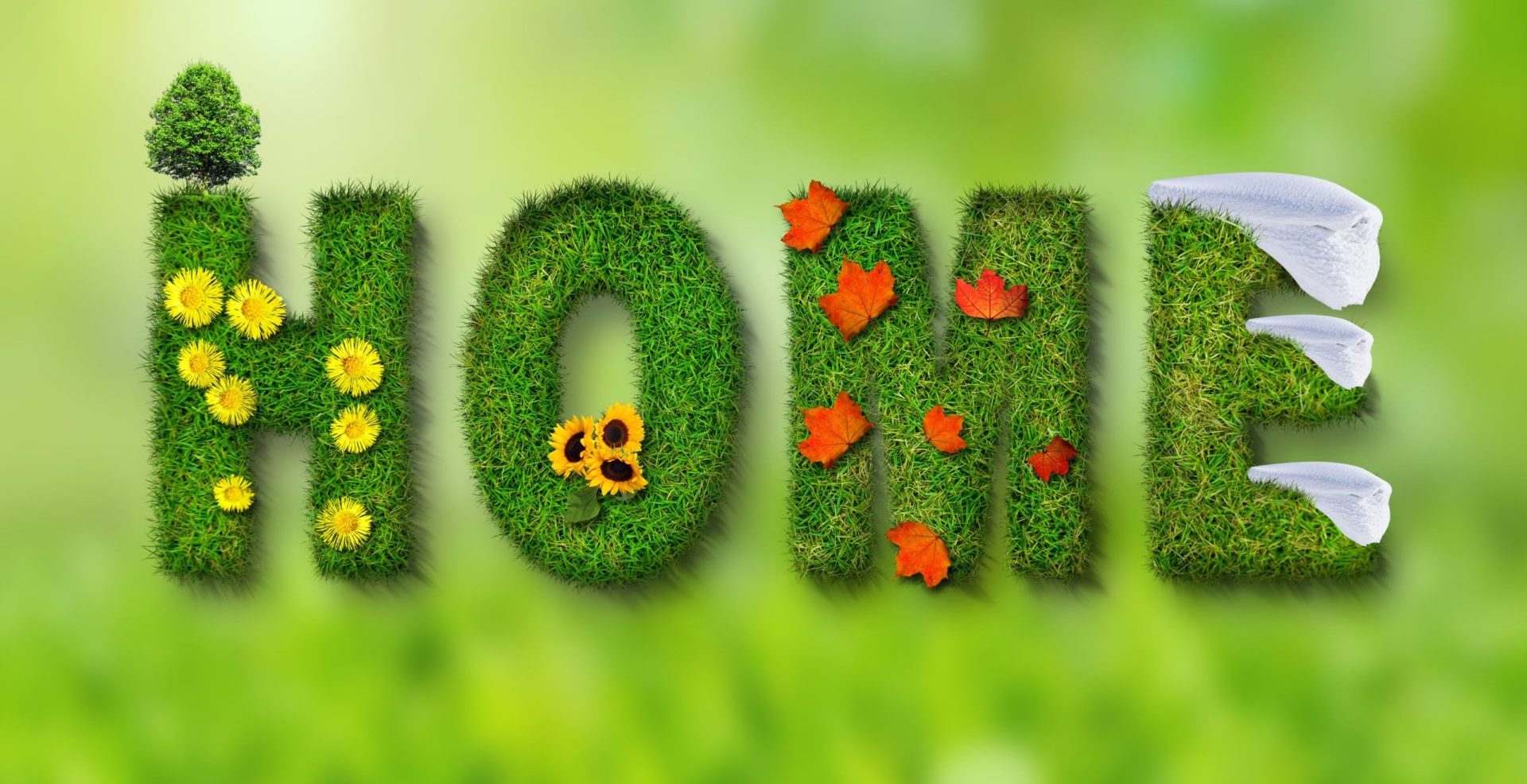 home-green_sitiwebaroma.it